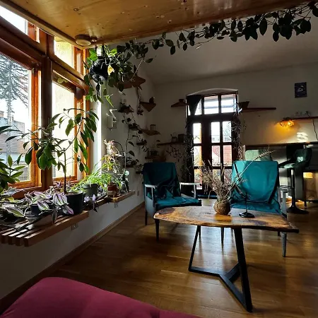 Sodosopa 别墅 布拉索夫