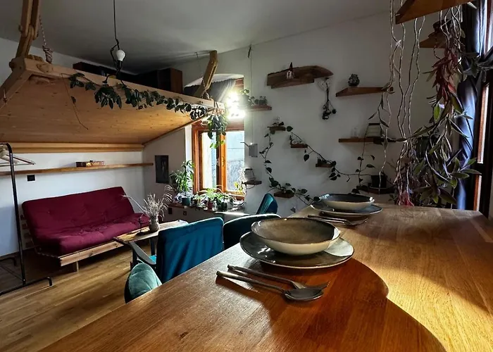 Sodosopa * 布拉索夫