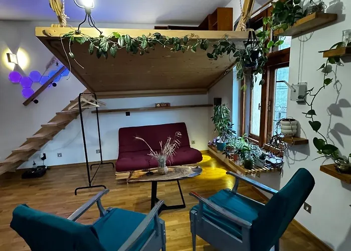 别墅 Sodosopa 布拉索夫