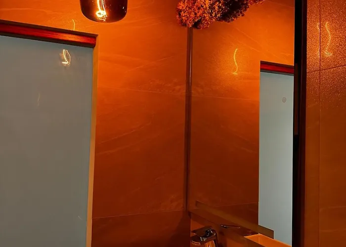 Sodosopa 布拉索夫