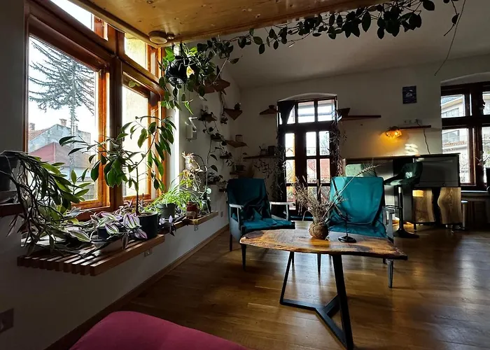 Sodosopa 别墅 布拉索夫