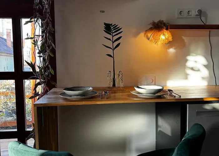 Sodosopa 别墅 布拉索夫