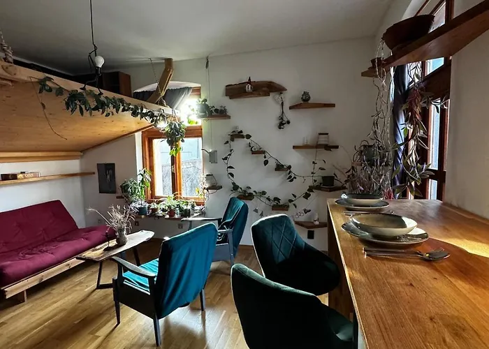 Sodosopa * 布拉索夫