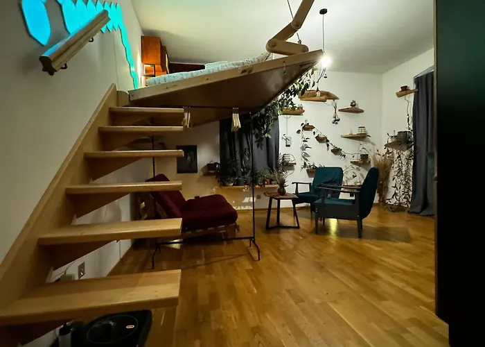 Sodosopa * 布拉索夫