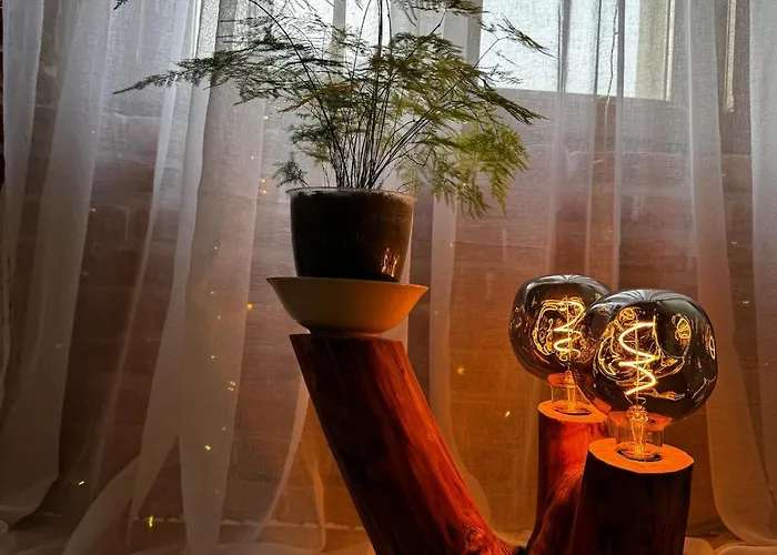 Sodosopa 布拉索夫