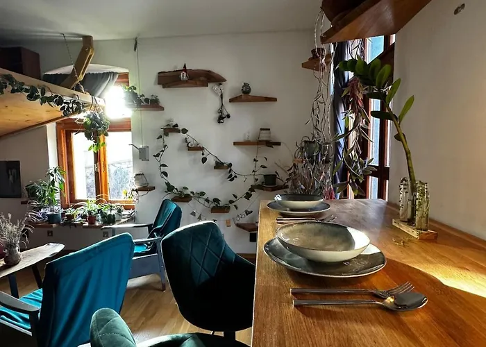 Sodosopa * 布拉索夫