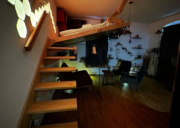 Sodosopa * 布拉索夫